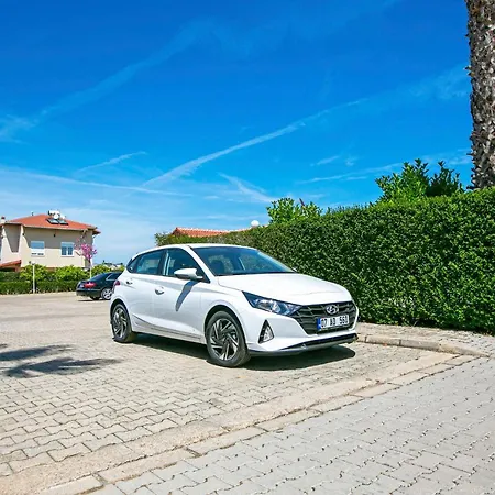 Paradise Town Royal *