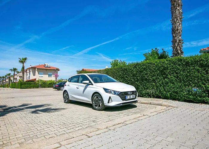 Paradise Town Royal *