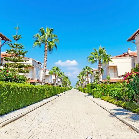 Paradise Town Royal *