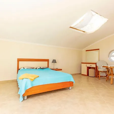 Paradise Town Royal * ベレキ