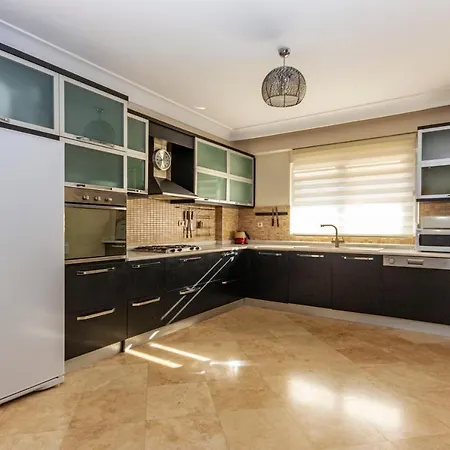 Paradise Town Royal * ベレキ