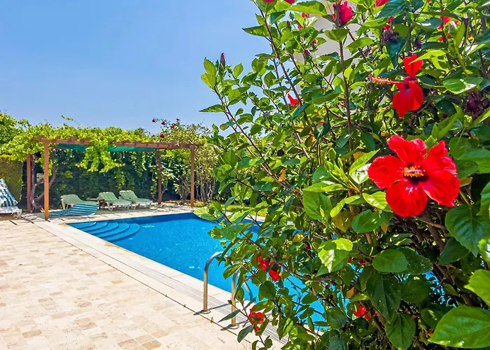 别墅 Paradise Town Royal 贝莱克