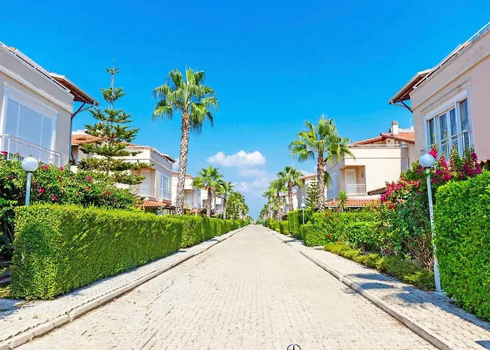 Paradise Town Royal *