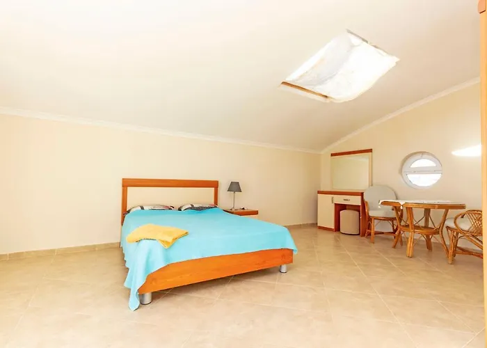 Paradise Town Royal * بيليك